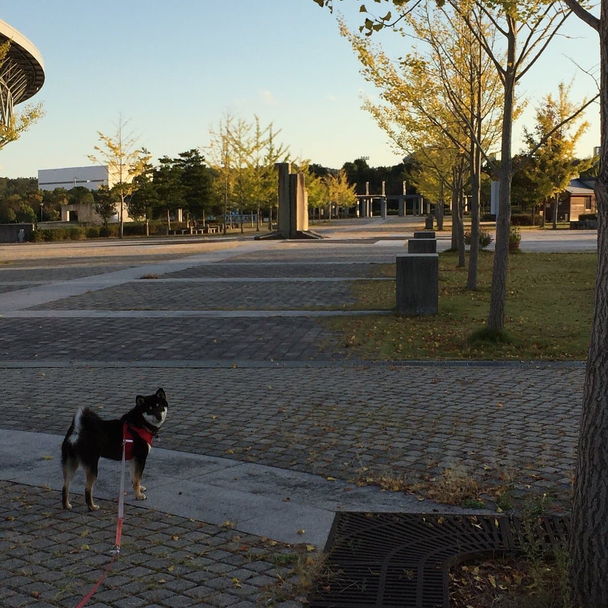 Miki Bosai Park cover image