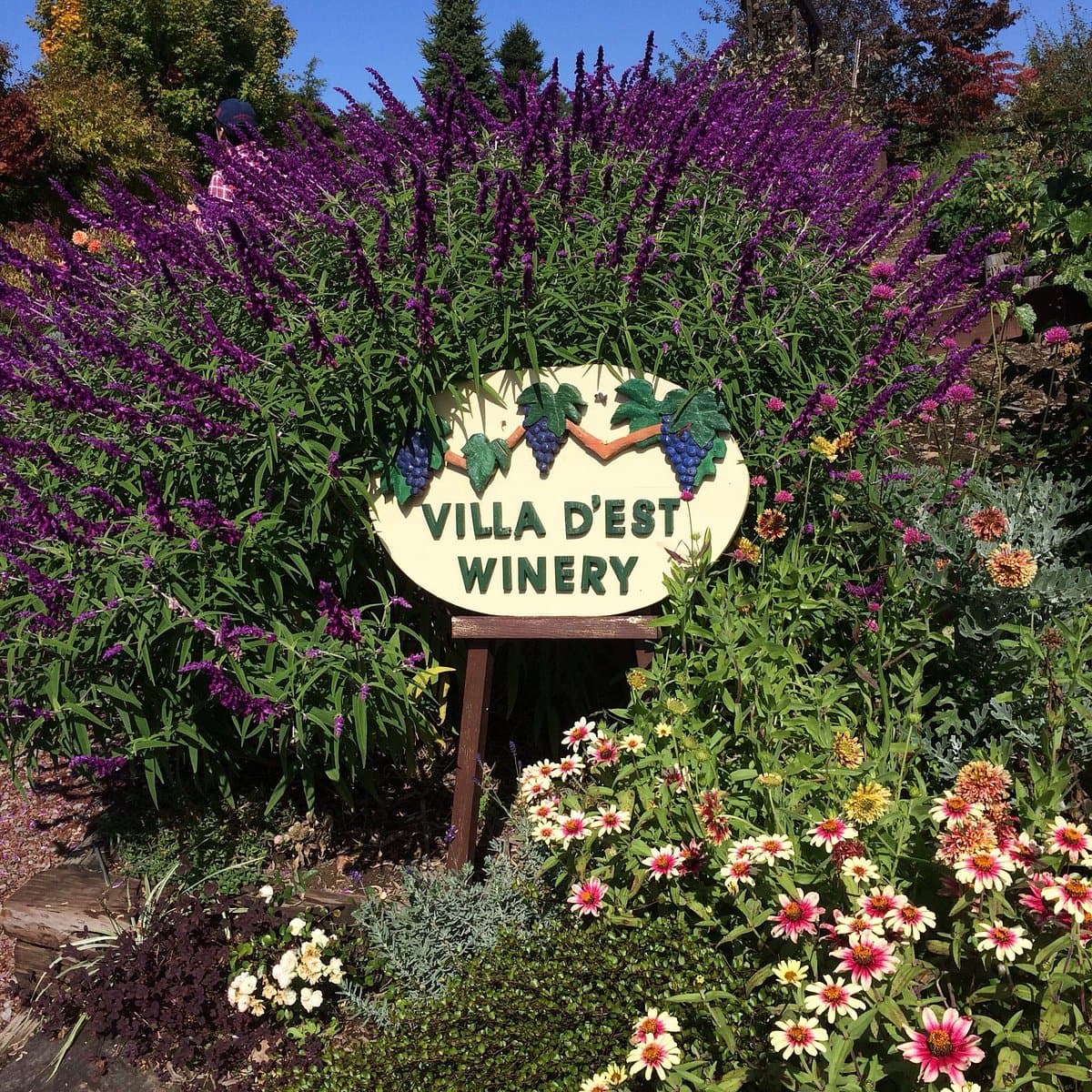 Villa d'Est Garden Farm and Winery cover image