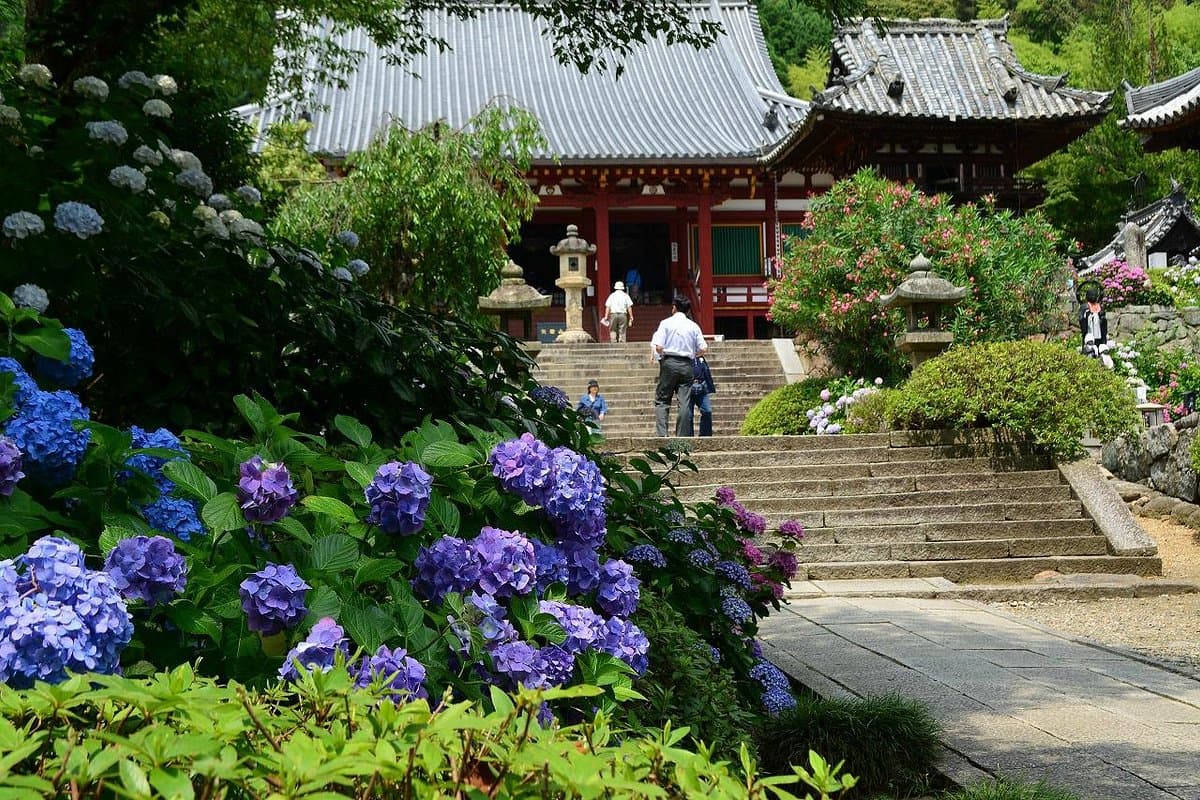 Yatadera Temple cover image