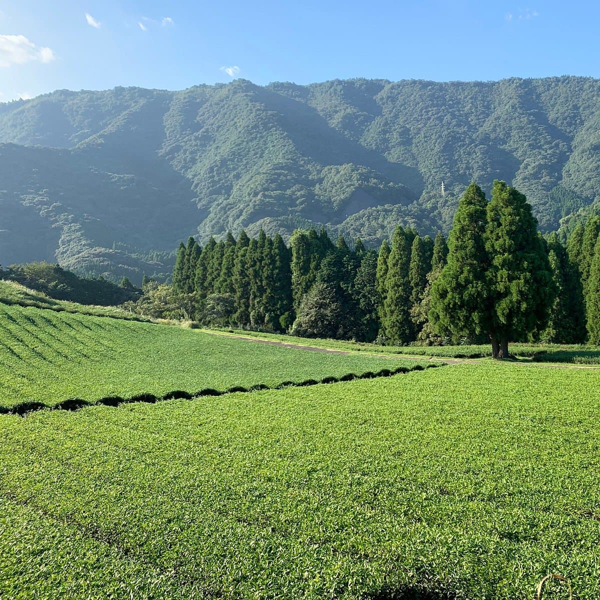Kitaura Rinkai Park Kitaurara Umi Ichiba