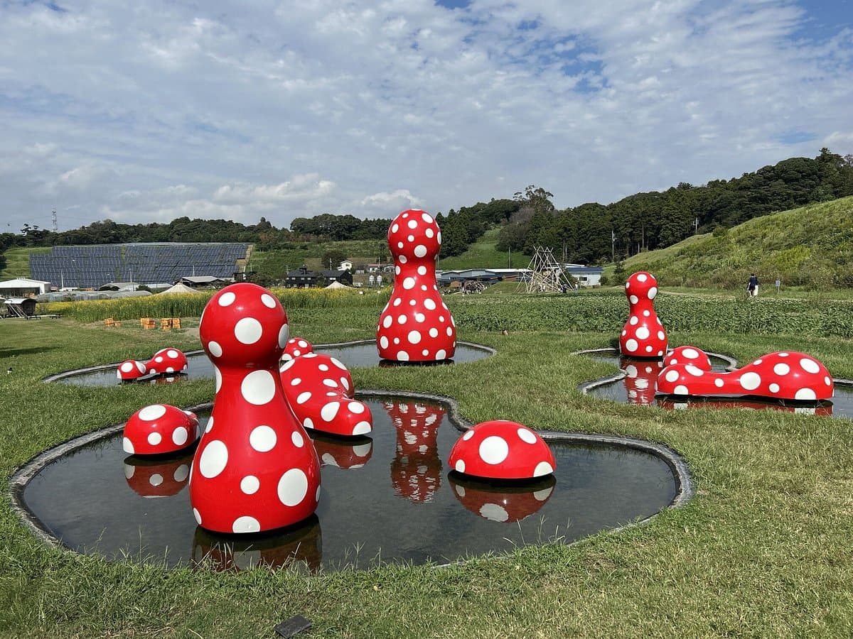 KURKKU FIELDS