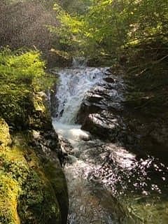 Nanasawa-Waldpark